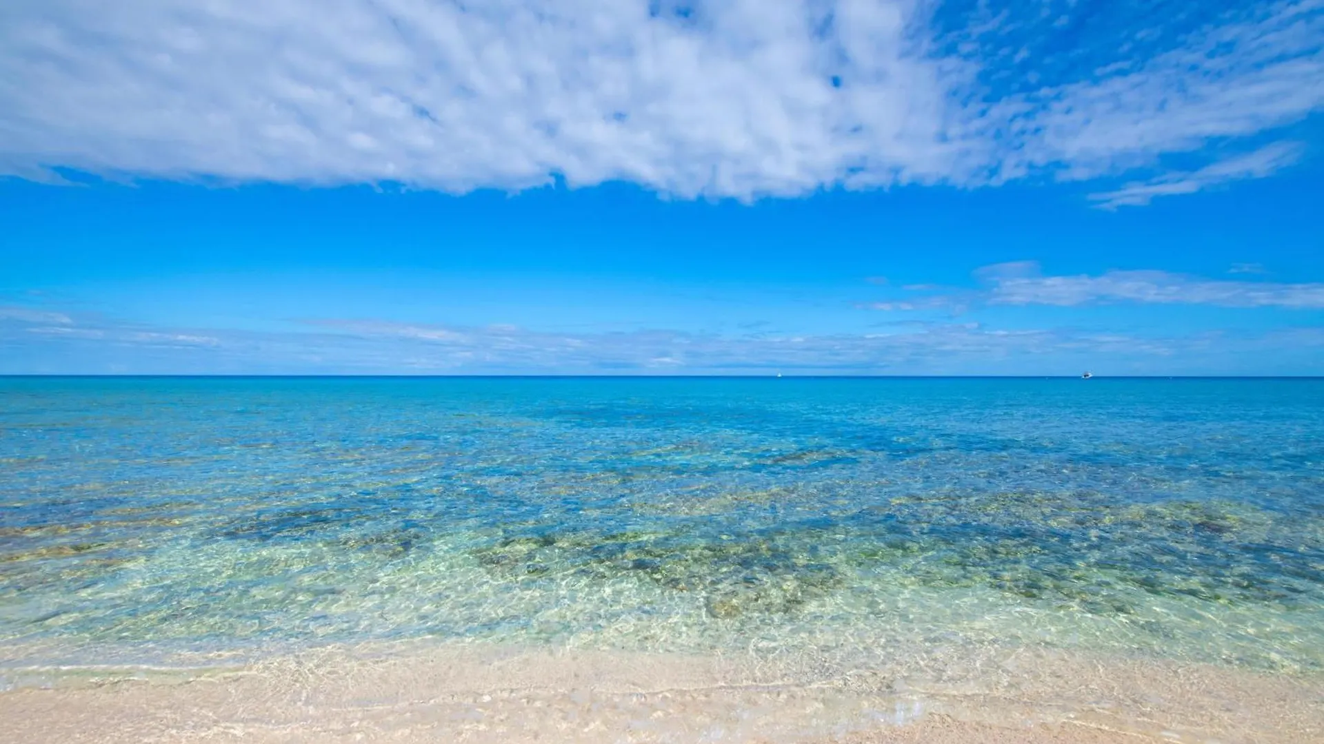 Silver Reef 4 Oceanfront Condo North Side 케이맨 제도