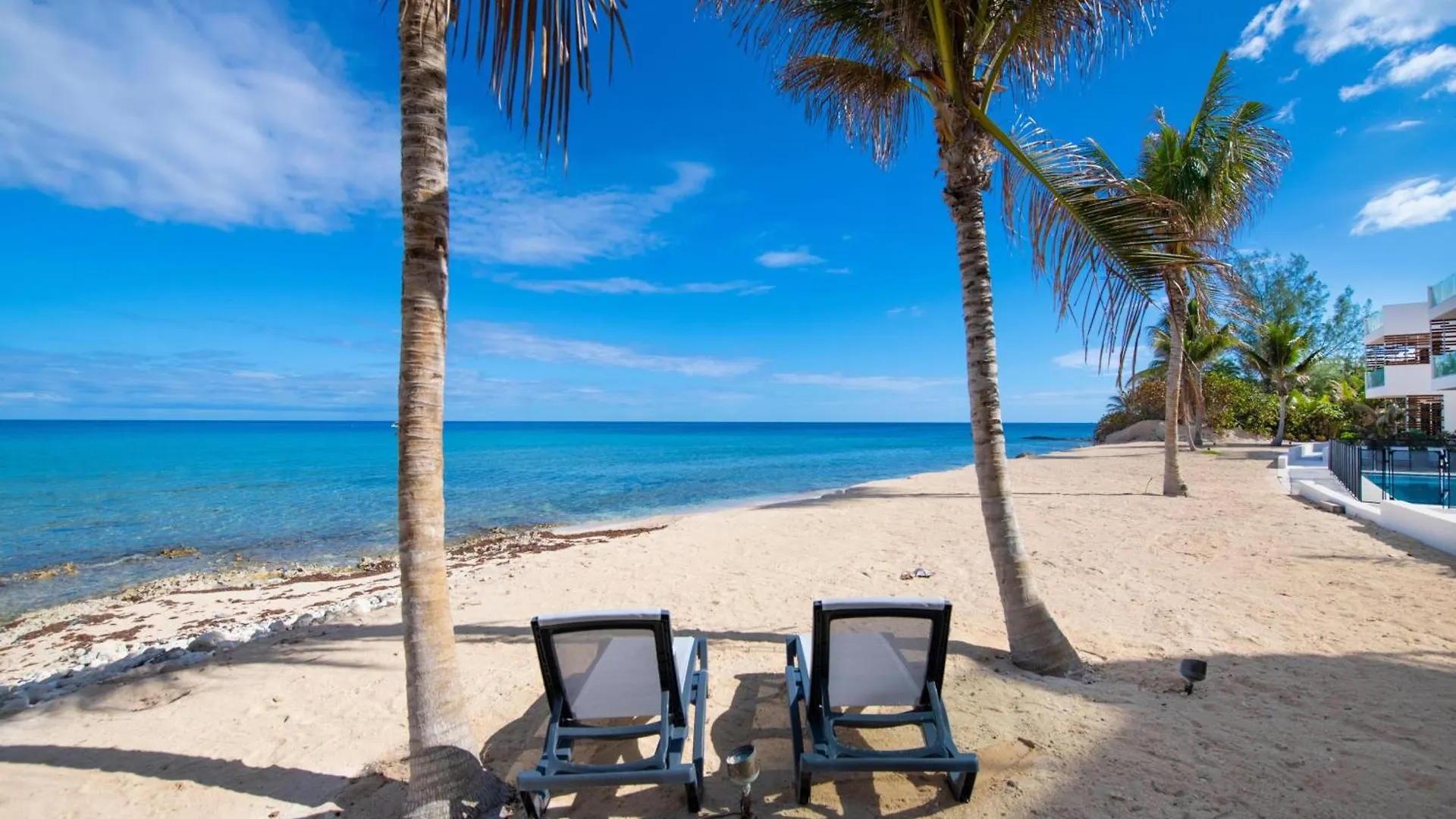 Silver Reef 4 Oceanfront Condo North Side 케이맨 제도